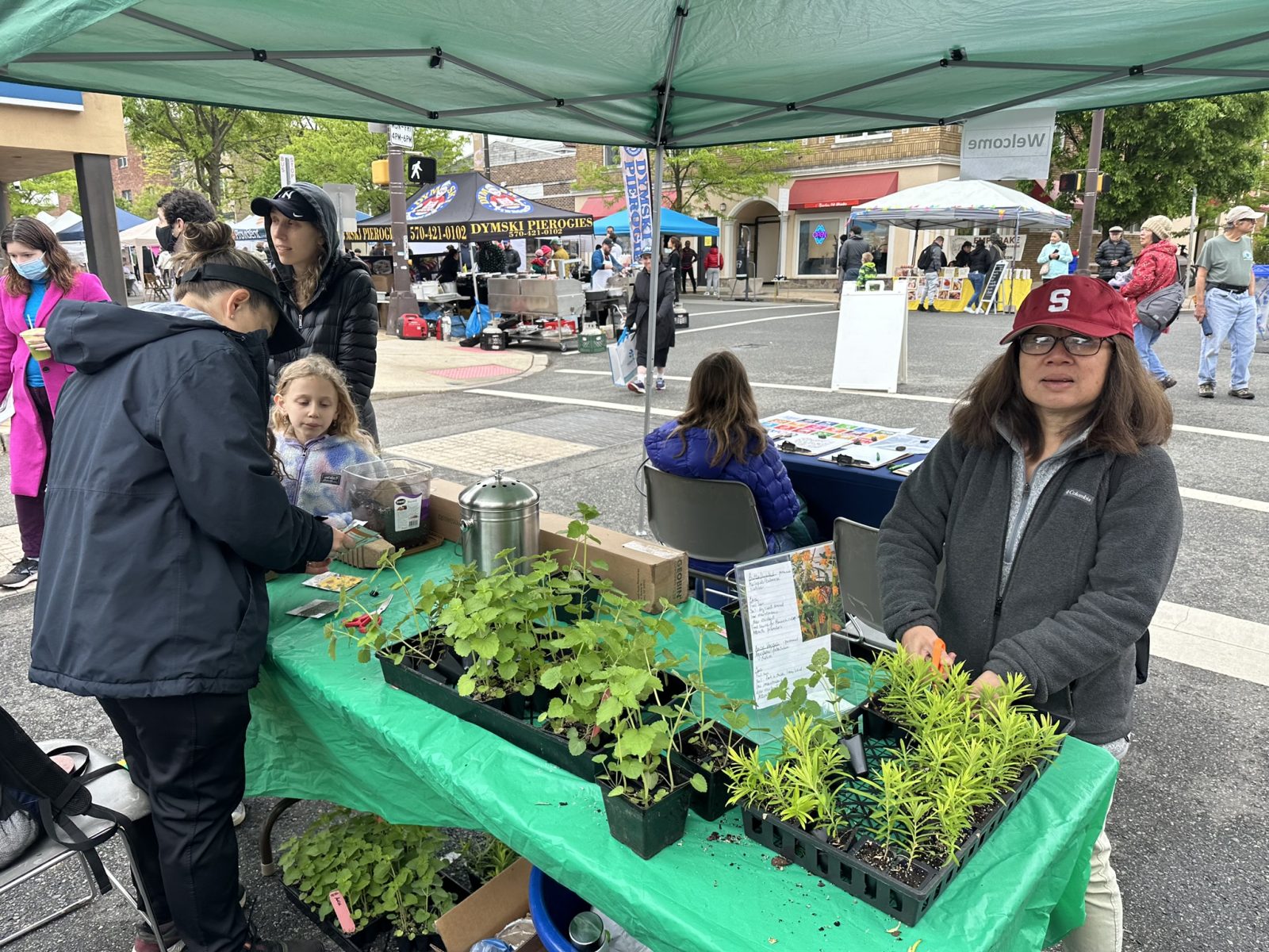A SHP table with seedlings.